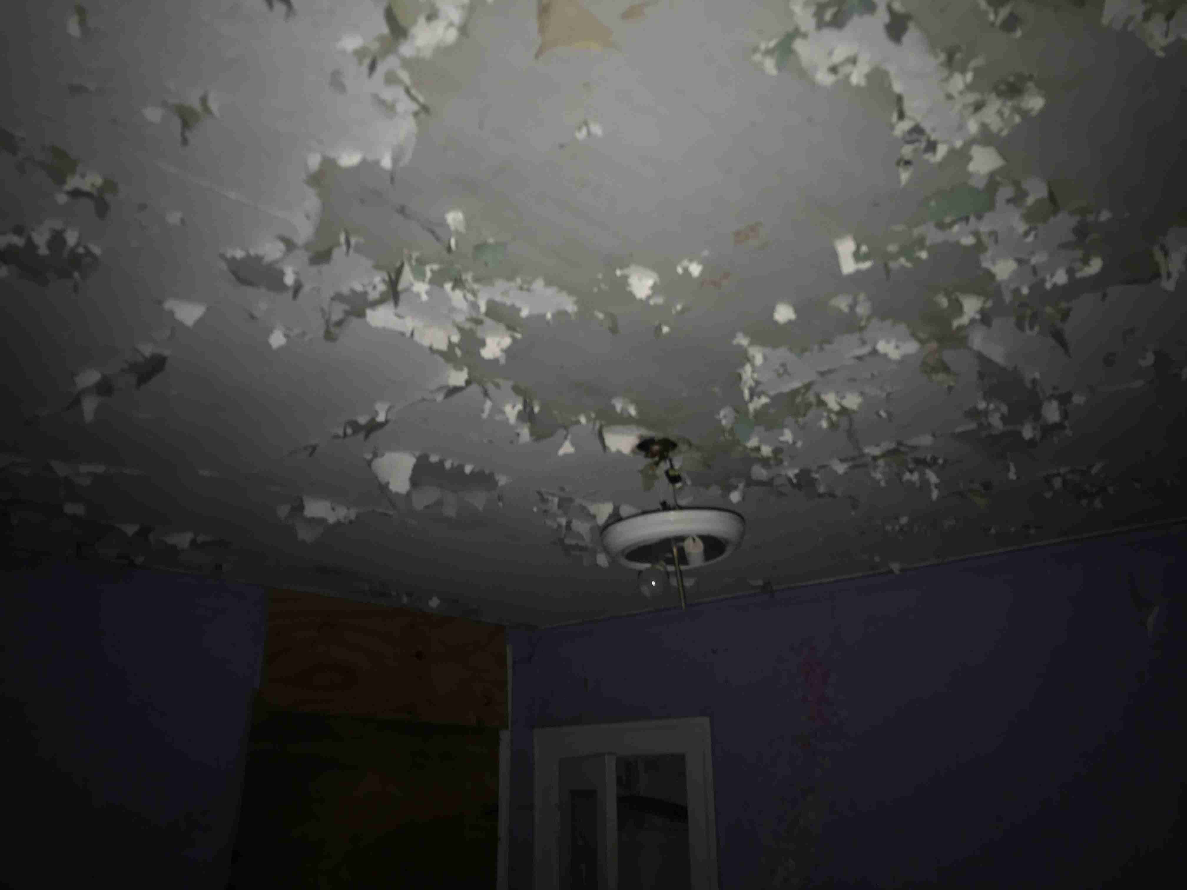 Photo Aug 20, 10 18 51 AM.jpg